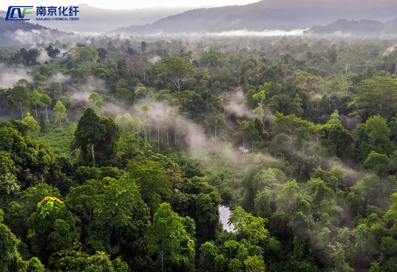 微信圖片_20250321091731.jpg 微信圖片_20250321091731.jpg